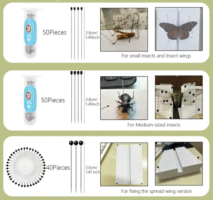 Entomological Setting Kit - Basic starter - World of Butterflies and Moths